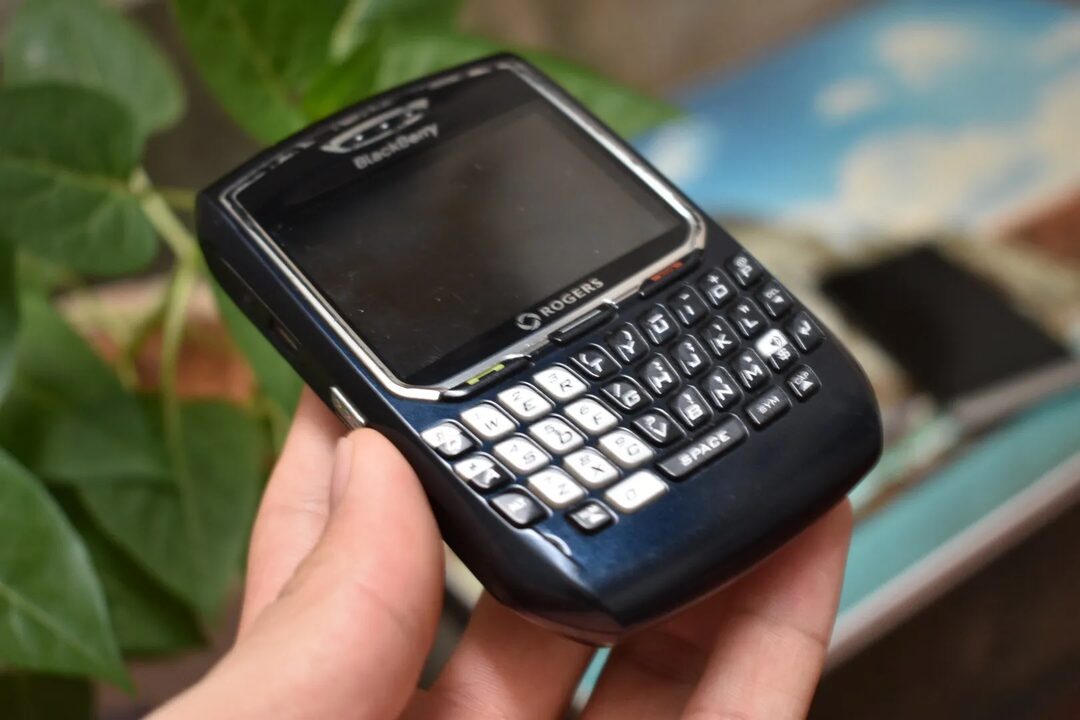 东西是自己的才是最好的吗