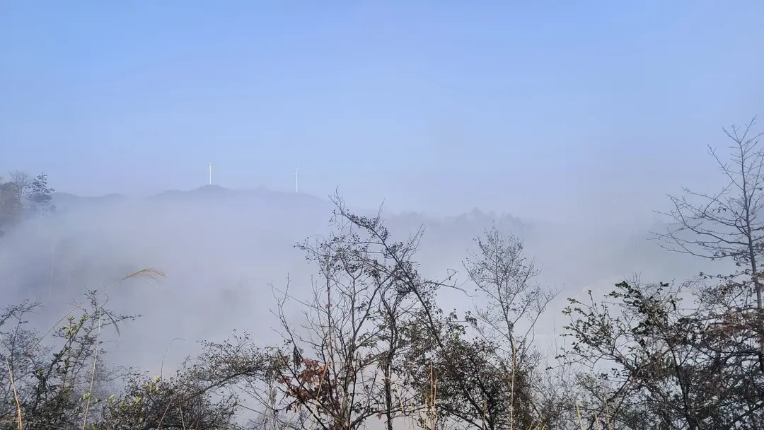 我父亲坟头景色